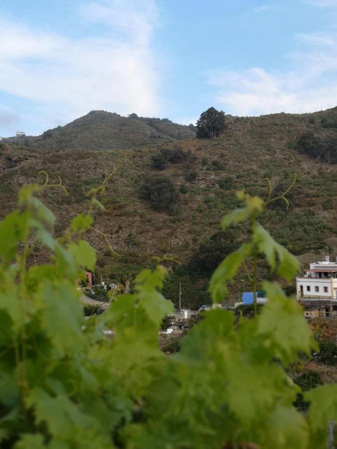 Casa Con Cuevita 特罗尔 外观 照片